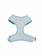 Blueberry Picnic Harness Walk Set