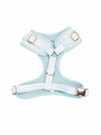 Blueberry Picnic Dog Harness