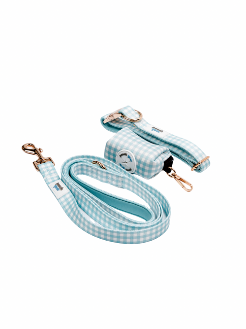 Blueberry Picnic Collar Walk Set