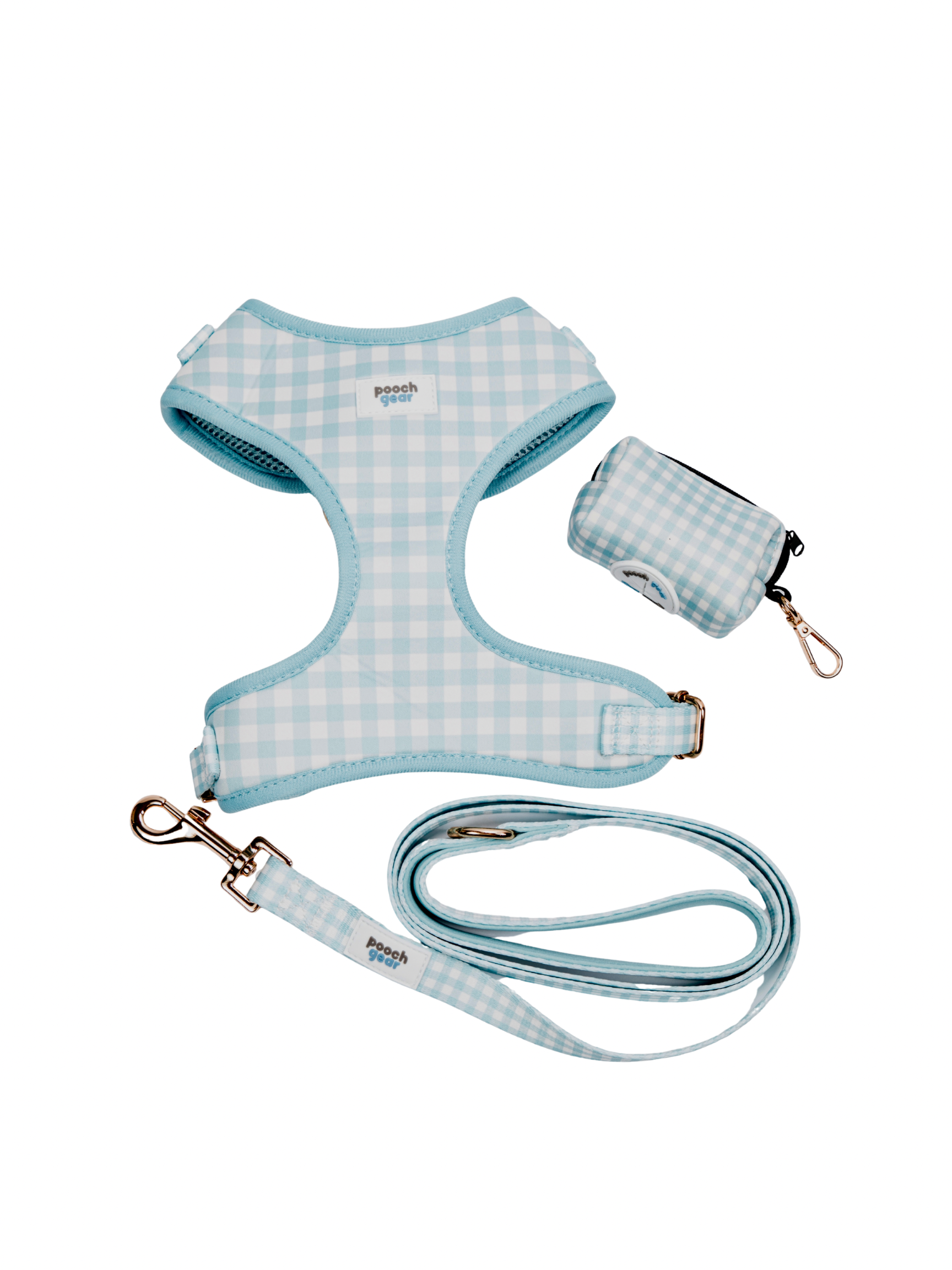 Blueberry Picnic Harness Walk Set