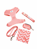 Ziggy Pink Whole Shebang Set