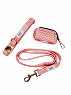 Ziggy Pink Collar Walk Set