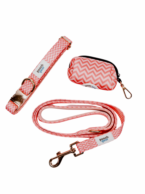 Ziggy Pink Collar Walk Set