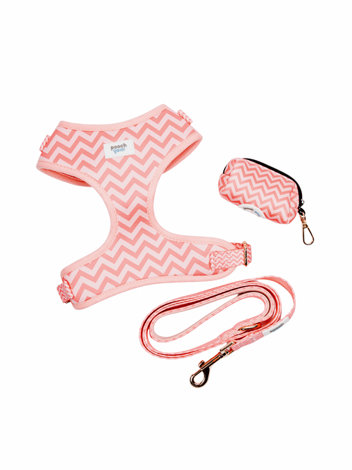 Ziggy Pink Harness Walk Set