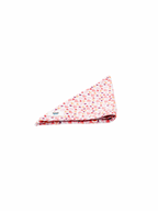 Pawfect Love Dog Bandana