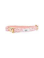 Pawfect Love Collar Walk Set