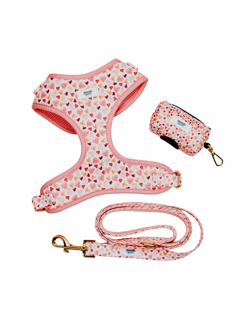 Pawfect Love Harness Walk Set