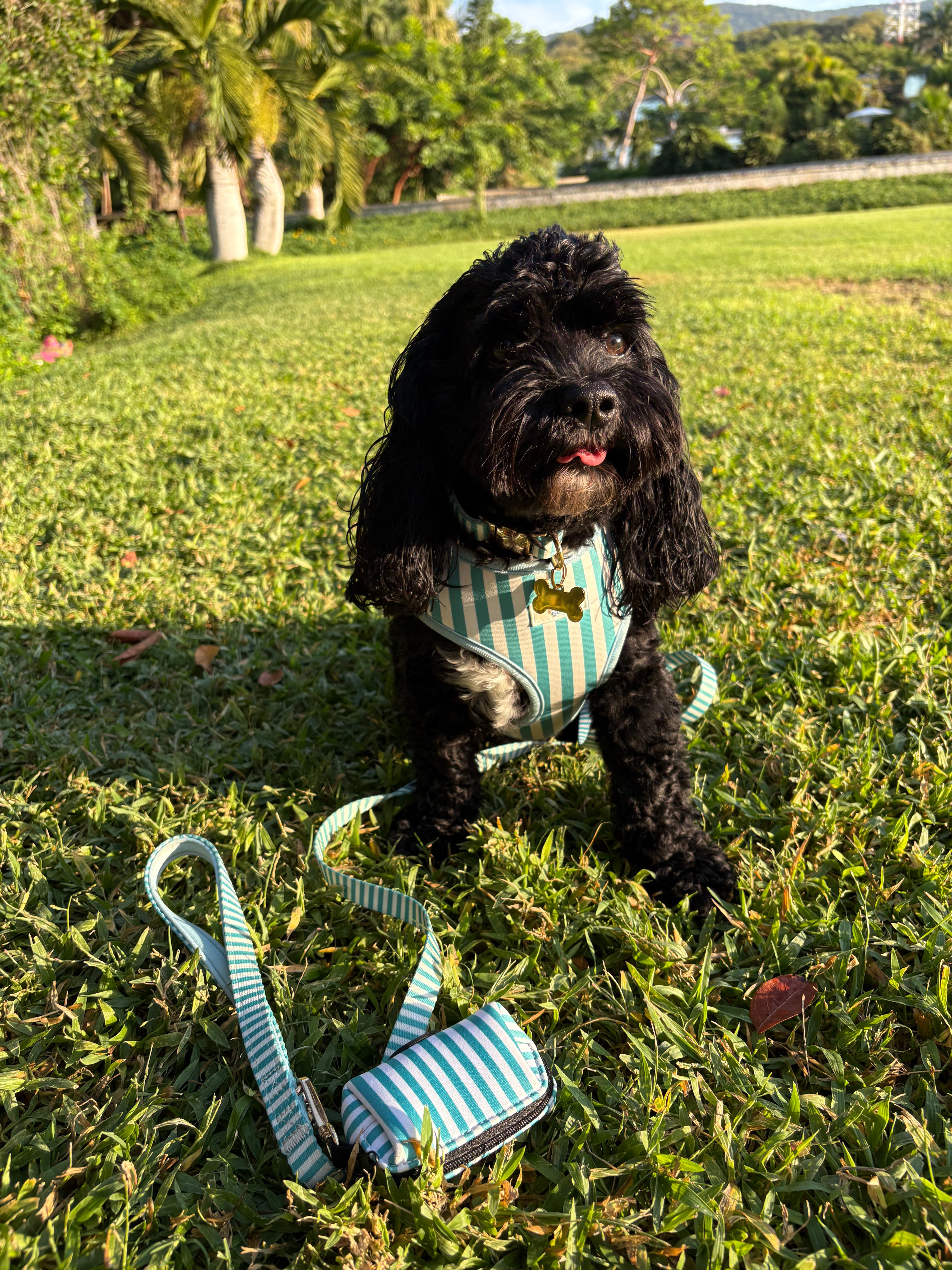Seaside Stripes Harness Walk Set