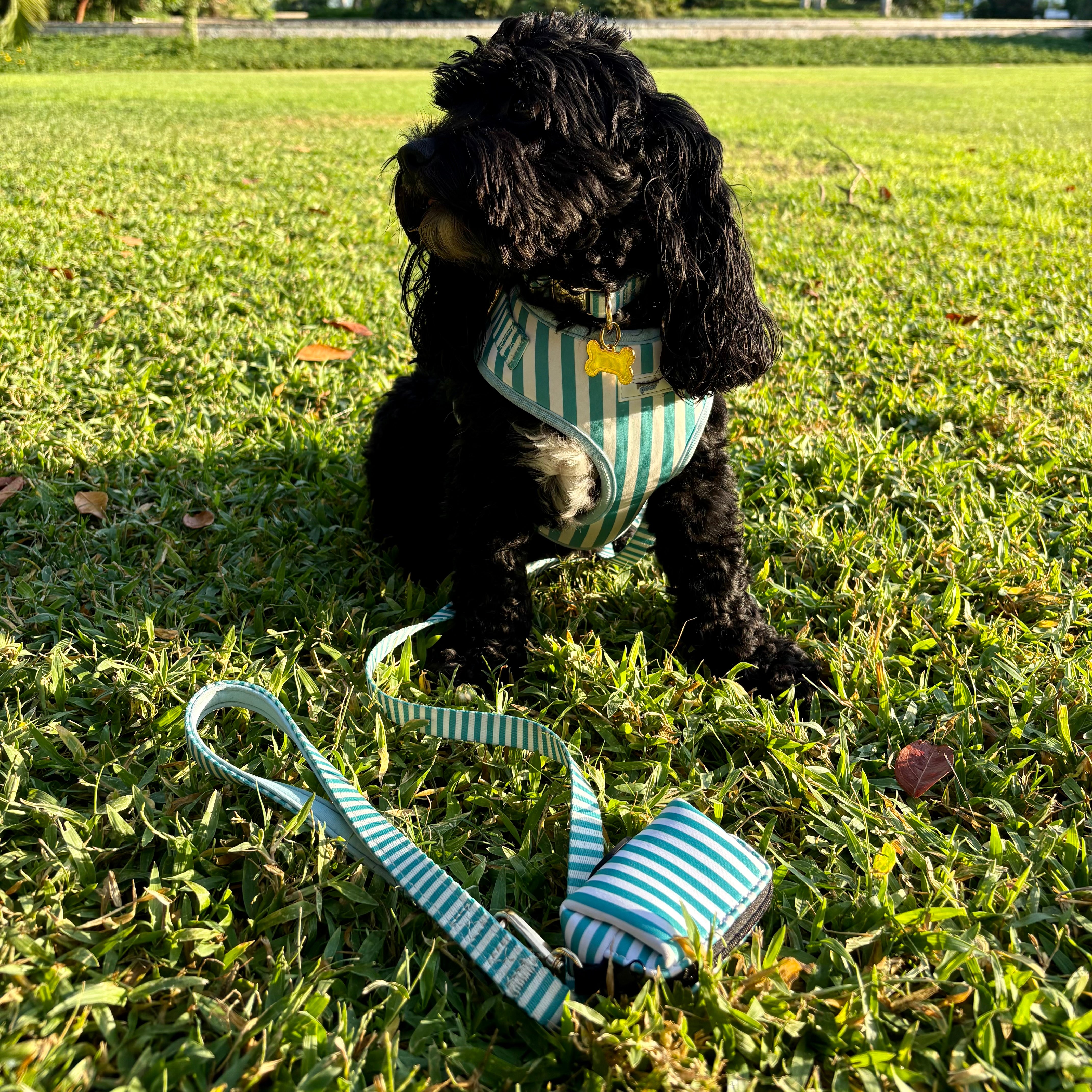 Seaside Stripes Whole Shebang Set