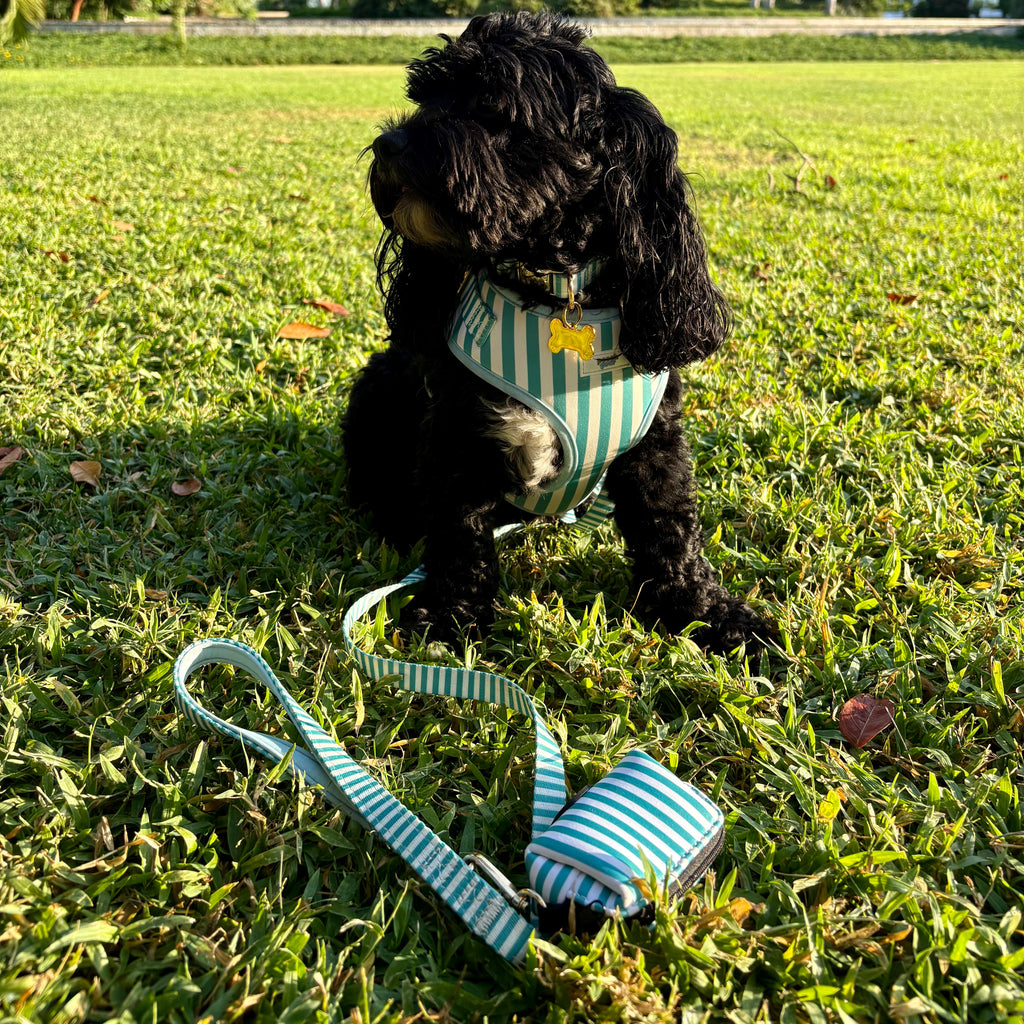 Seaside Stripes Whole Shebang Set