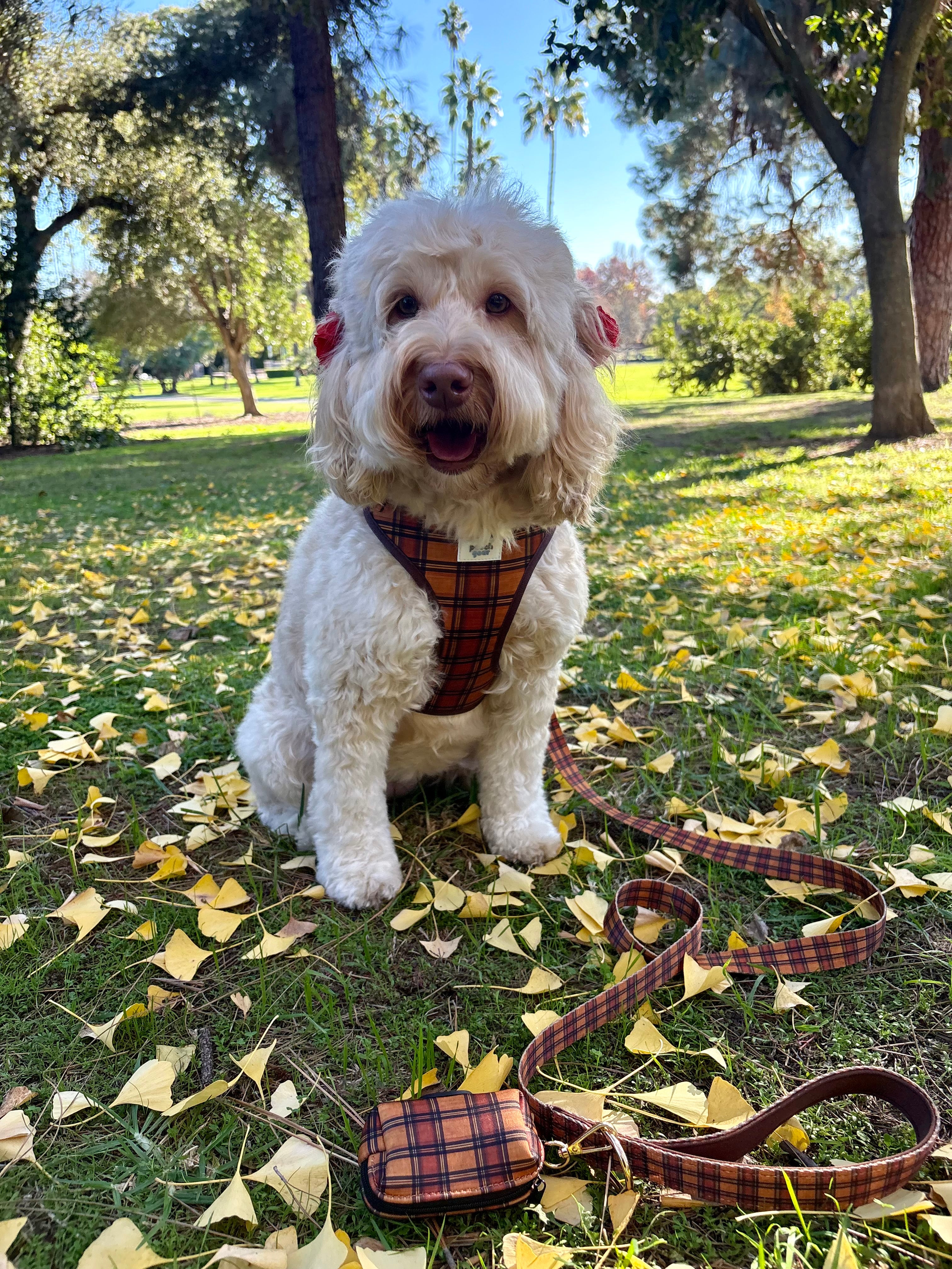 Chestnut Checks Harness Walk Set