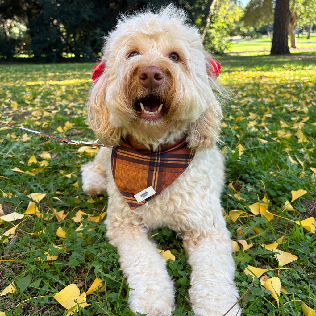 Chestnut Checks Dog Bandana
