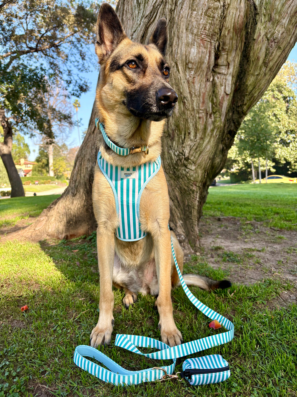 Seaside Stripes Dog Harness