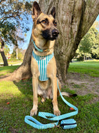 Seaside Stripes Dog Harness