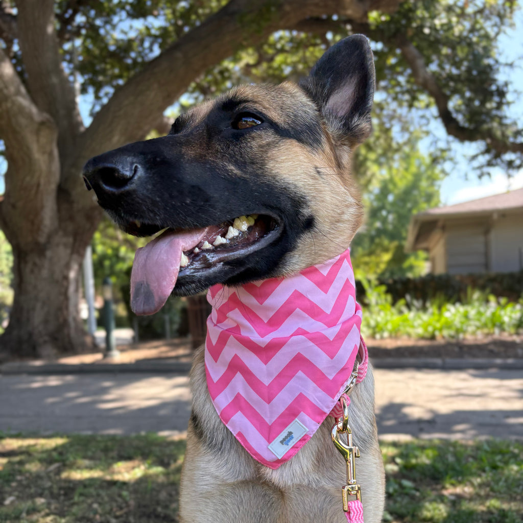 Ziggy Pink Dog Bandana